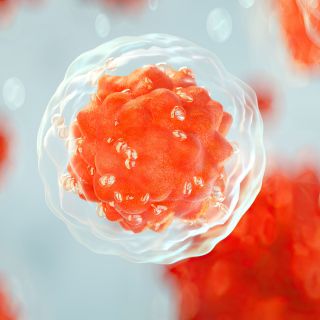 Verringert das Risiko schwerer Krankheiten